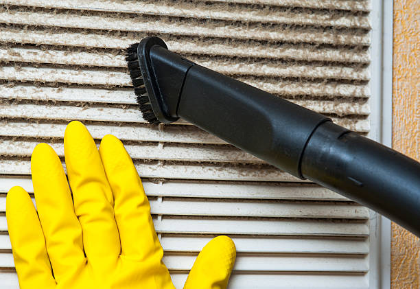 Best Professional Duct Cleaning Services  in Oak Park, MI
